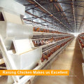 Tianrui Design Steel Galvanized H Type Automatic Chicken Egg Laying Cage